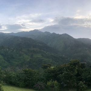 Meet your Posher, Kayleen